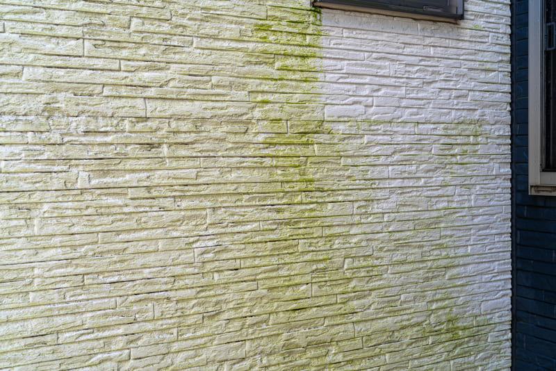 外壁コケが発生する原因と対策について
