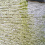 外壁リフォームが必要な劣化症状:藻やカビなどの汚れ