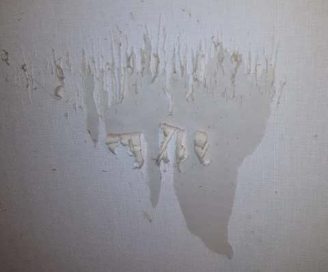 塗膜の剥がれの画像