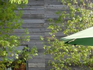 植木や花は移動しないと枯れるかも