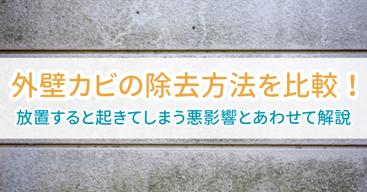 外壁カビ