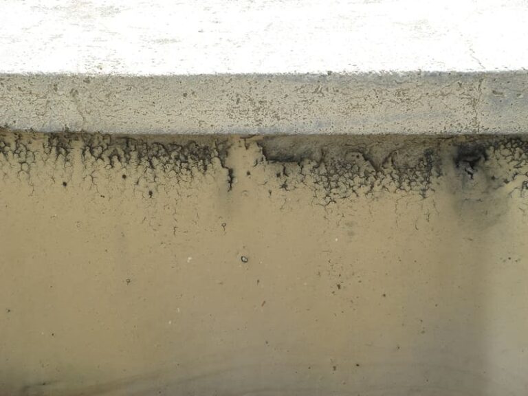 外壁カビの参考画像