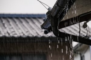 雨