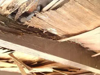 野地板の痛み、腐食について