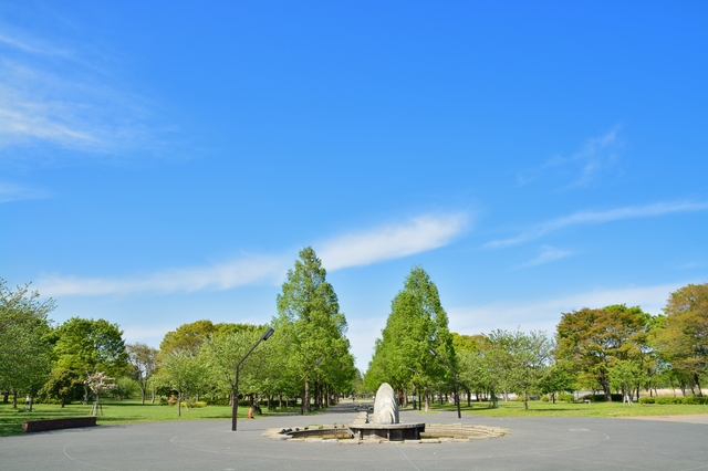 足立区にある舎人公園